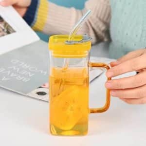 Glasses with Lid and Straw Tumbler Sipper for Soda Smoothies Whiskey Iced Coffee Cocktail Tea Juice